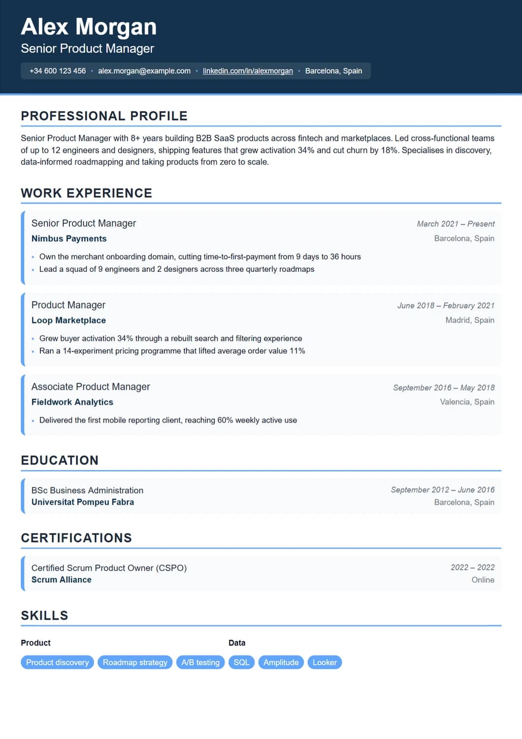 Corporate CV template - Professional design for business environments